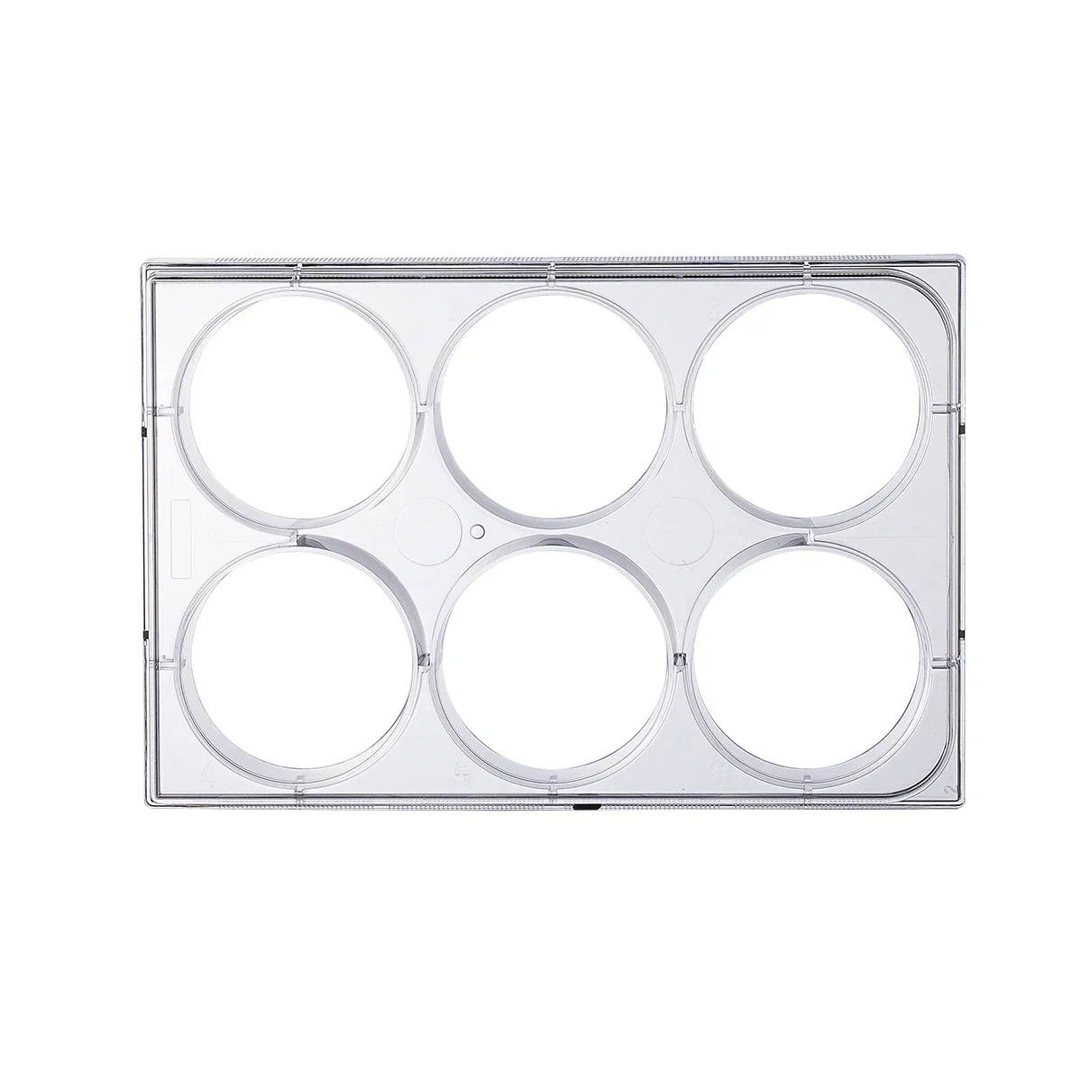 Forniture per laboratorio biom - Health Wellness Lab recensione e prezzo