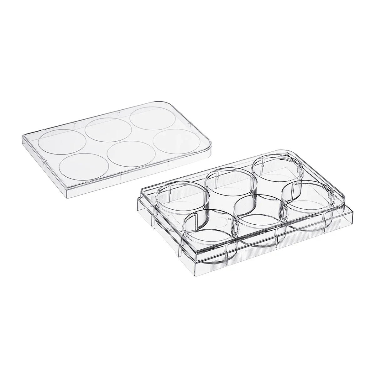 Forniture per laboratorio biom - Health Wellness Lab recensione e prezzo