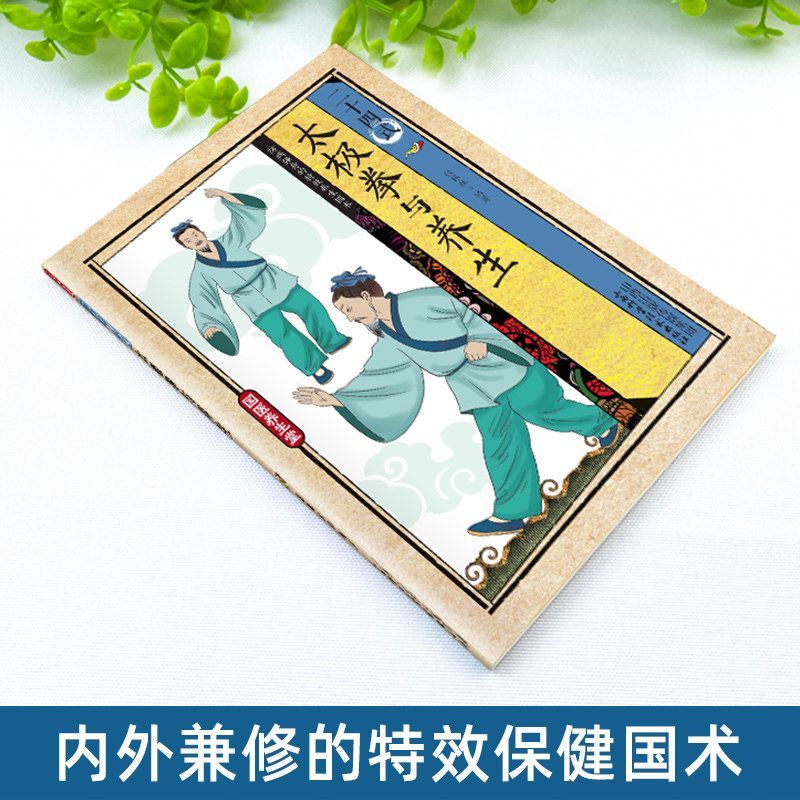 24 Stili di Tai Chi ed Eserciz - Health & Wellness For You recensione e prezzo